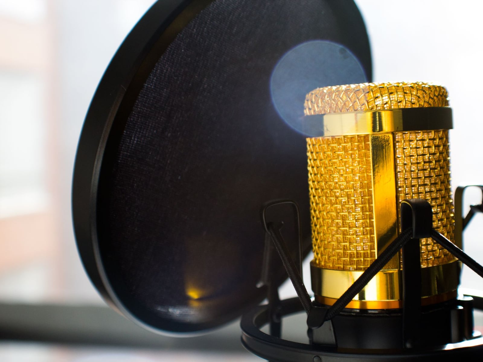 Professional studio condenser microphone with pop filter for vocal recording